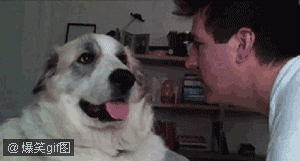 79a00895jw1dp2xxnnab5g.gif