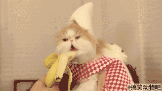 83fd609ajw1dkyu007toog.gif