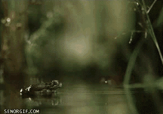 9bce3454jw1drsab983afg.gif