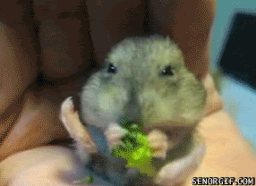 7c8fb3bbjw1drqs141x4rg.gif