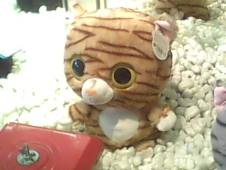 IMG0225A.jpg