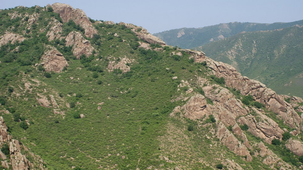 wKgBpU4dGUzW0tfVAAOHWj6_qnQ18_groupinfo_w600.jpg