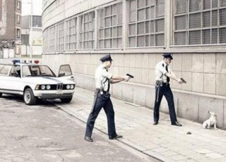 84不许动，你已经被包围了！把你嘴里的骨头放下.jpg