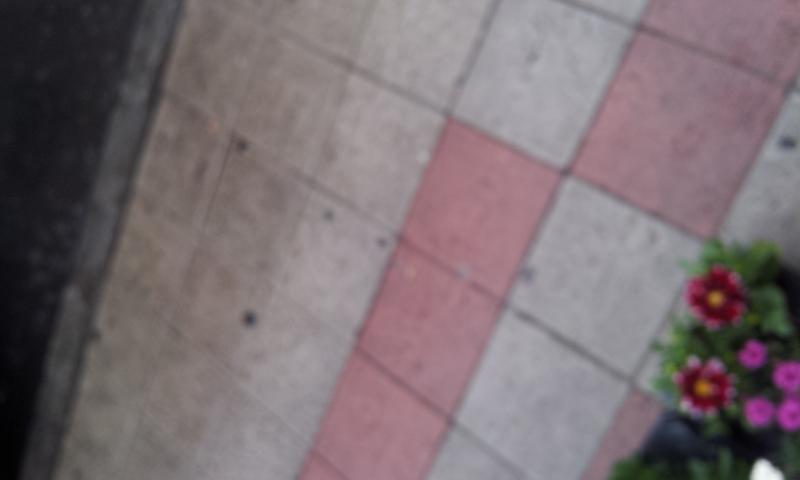 C360_2012-04-29-18-51-51_org.jpg