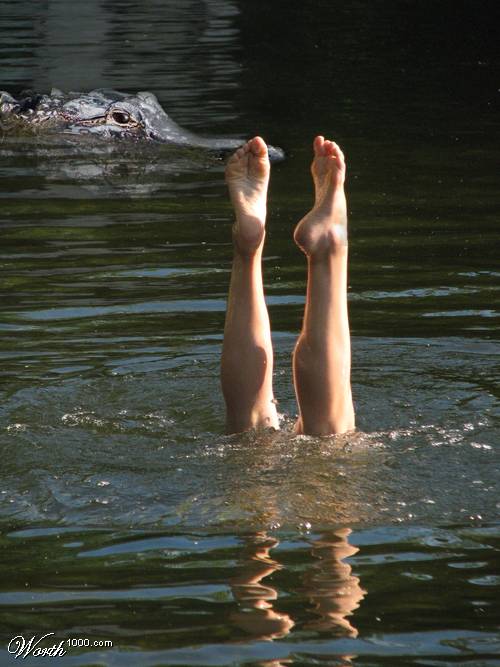 image006.jpg