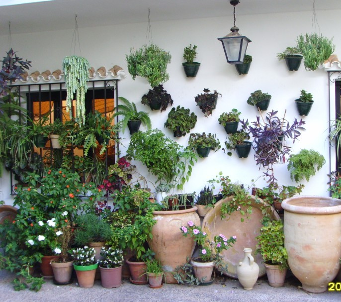 mijas1.jpg