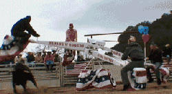 460.gif