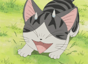 未命名.gif