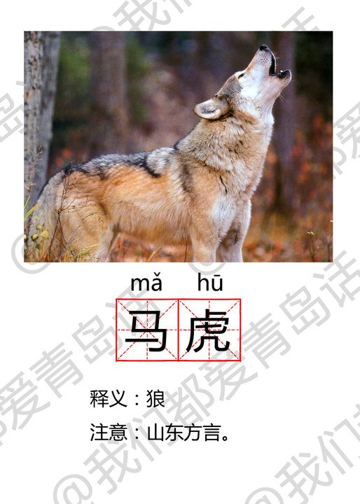 original_2hLk_7fc2000002a6125e.jpg