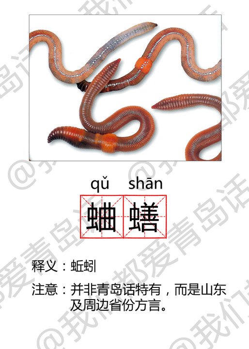 original_dC8c_4651000012a4125c.jpg