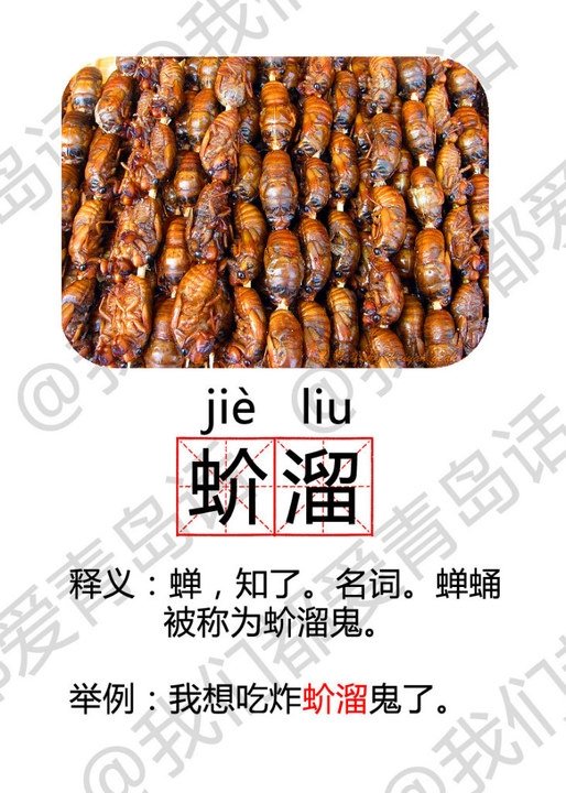 original_poFg_099a00039c751262.jpg
