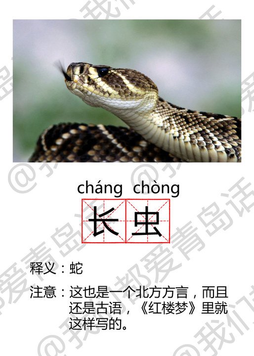 original_Y9OQ_768400000105118f.jpg