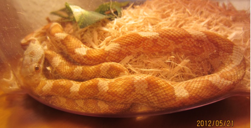 刚买的时候照的