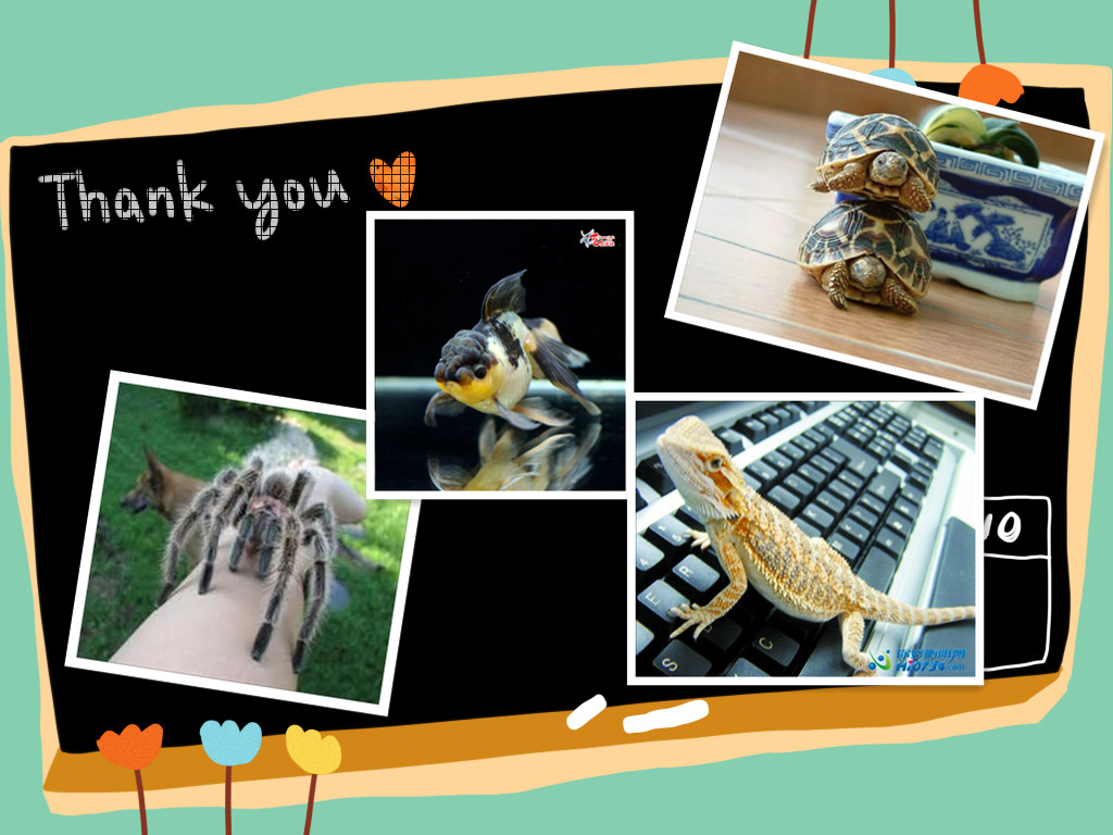 images (1)_副本.jpg