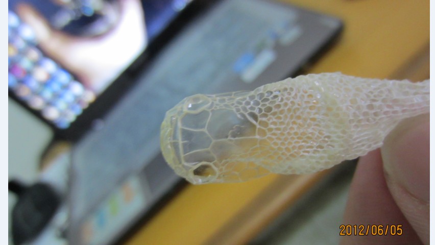 蛇头。有点慎得慌