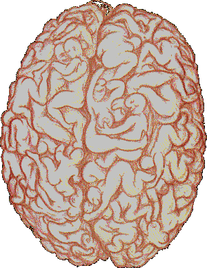 9bce3454jw1du02cgs1hug.gif