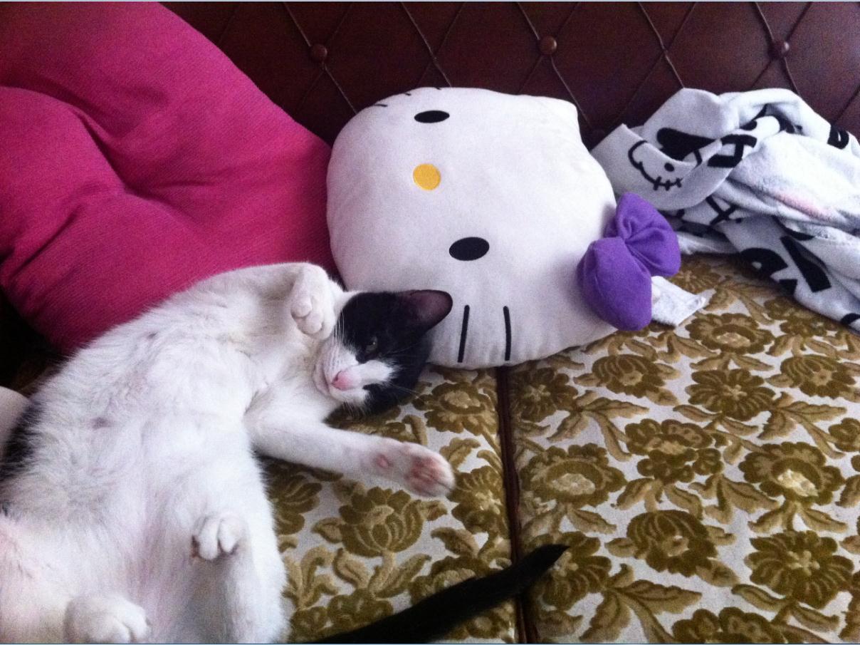 MSNLitePic 2012-06-20 17_11_18.jpg