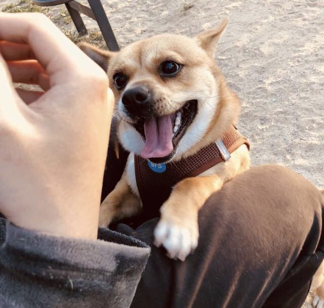 WeChat Image_20190612152653.jpg