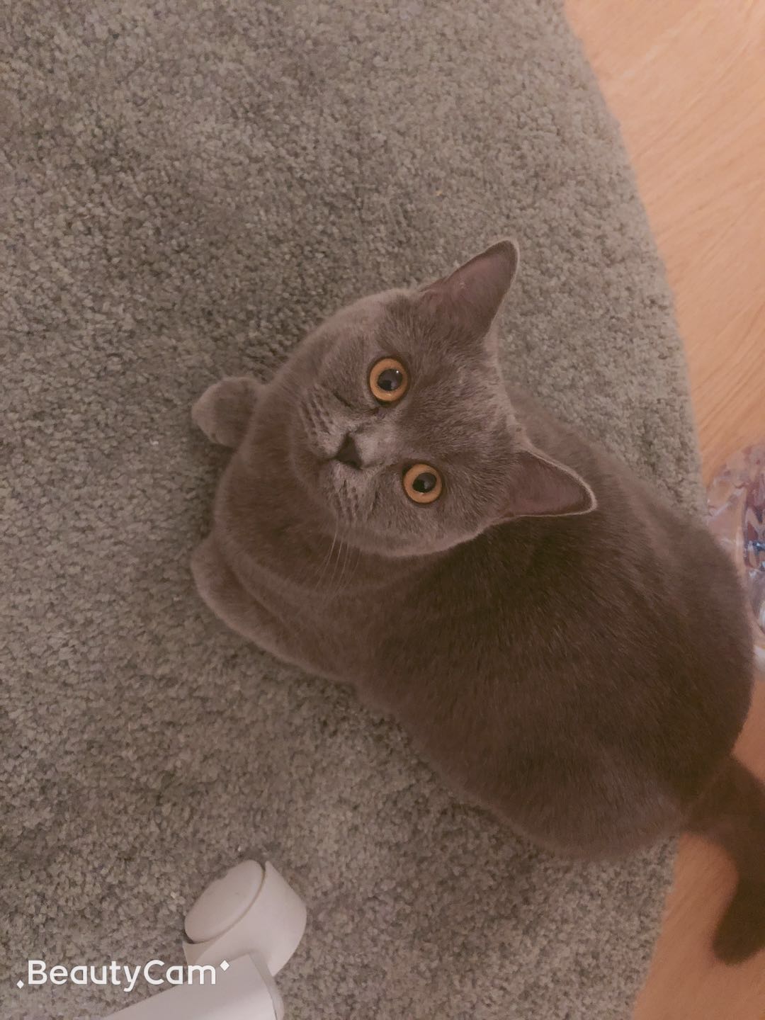 webwxgetmsgimg (29).jpg