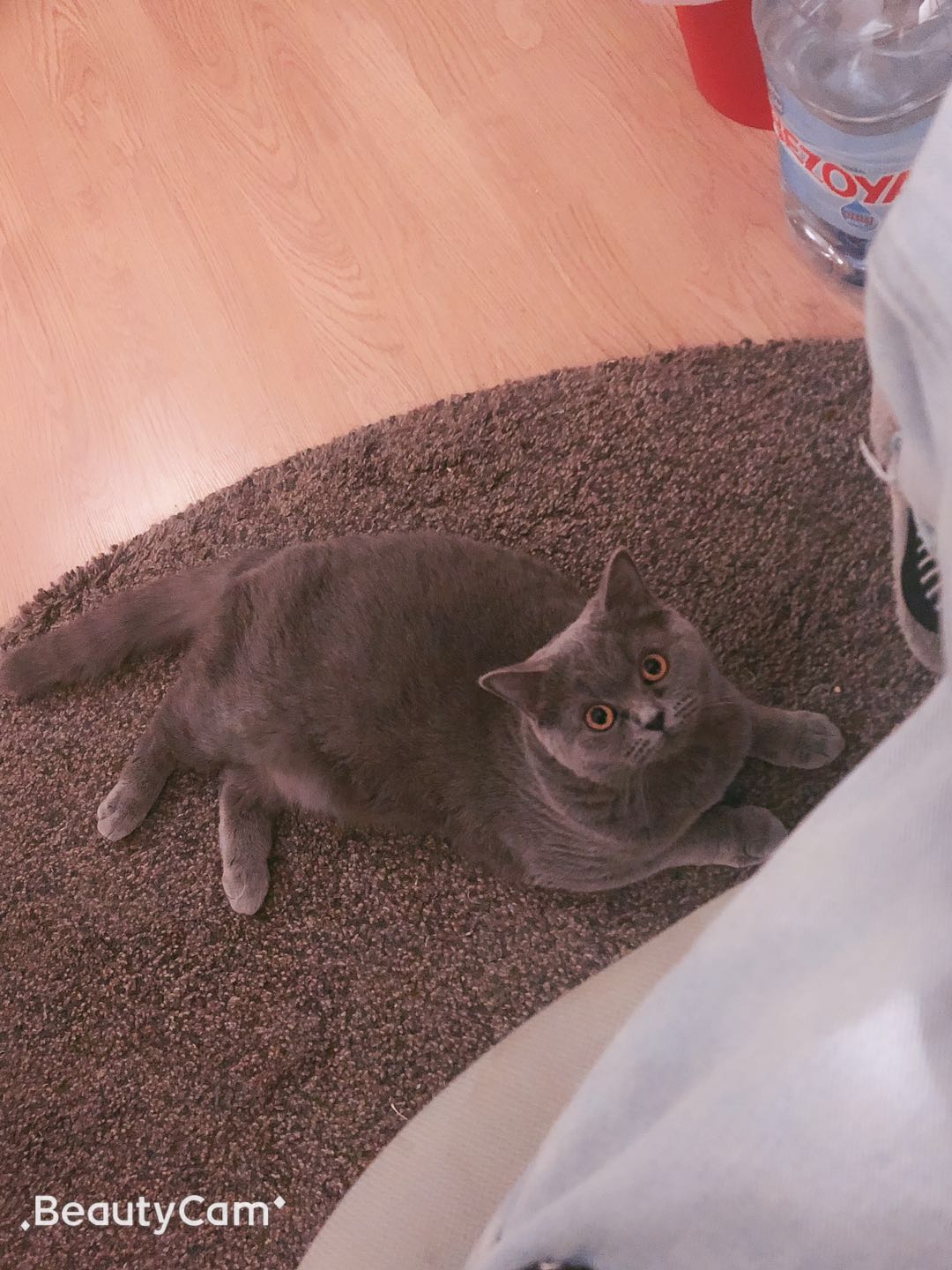 webwxgetmsgimg (30).jpg