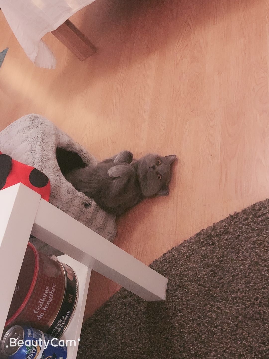 webwxgetmsgimg (32).jpg