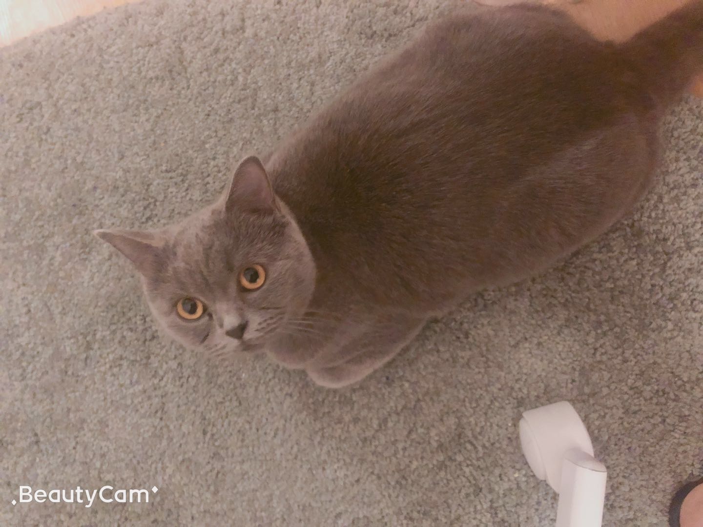 webwxgetmsgimg (33).jpg