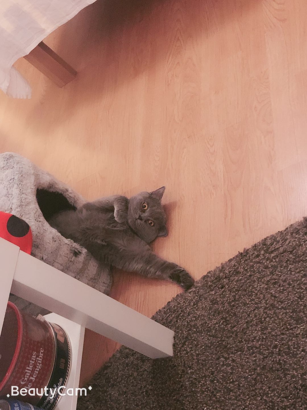 webwxgetmsgimg (31).jpg