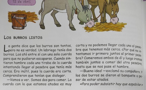 mmexport1618306788548.jpg mmexport1618306788548.jpg