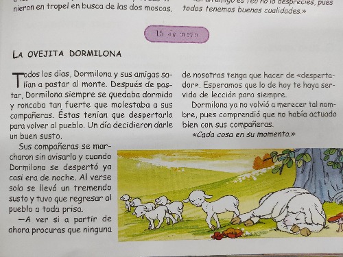 IMG_20210508_120536.jpg IMG_20210508_120536.jpg