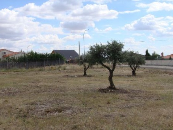 WeChat Image_20211119160618.jpg