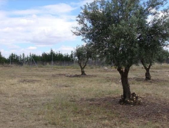 WeChat Image_20211119160621.jpg