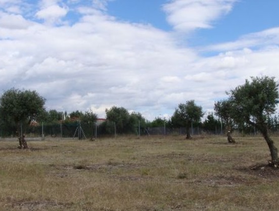 WeChat Image_20211119160623.jpg