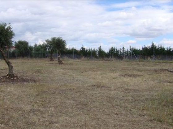 WeChat Image_20211119160627.jpg