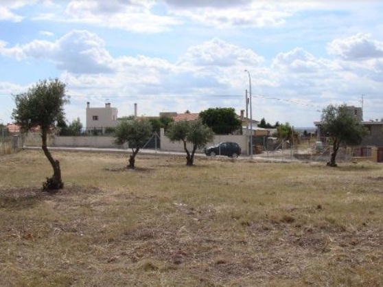 WeChat Image_20211119160616.jpg