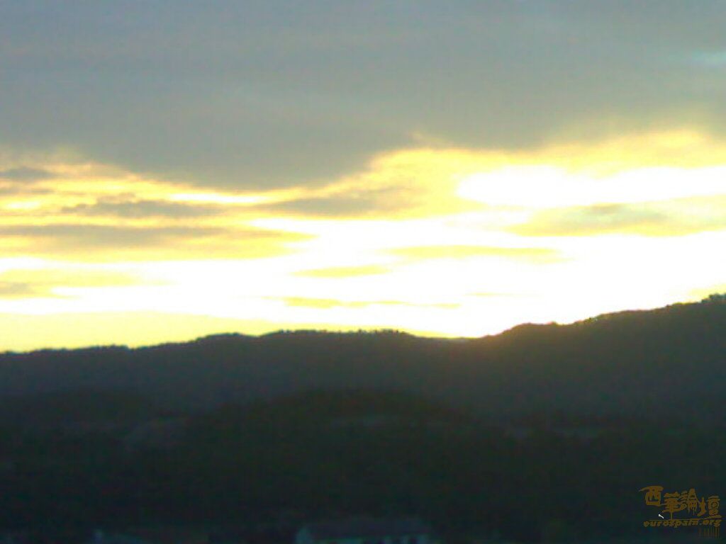 20061025085.jpg