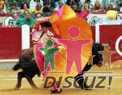 西 班 牙 斗 牛 表 演1.jpg