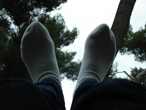 这是车的窗..不知道后来有没有留下脚印..