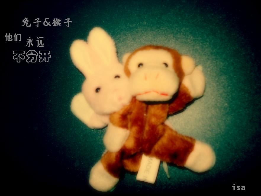 兔子是他,猴子是我.