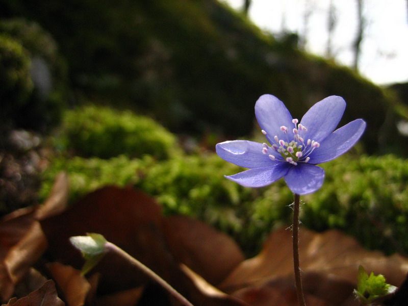 复件 IMG_0710_缩小大小.JPG