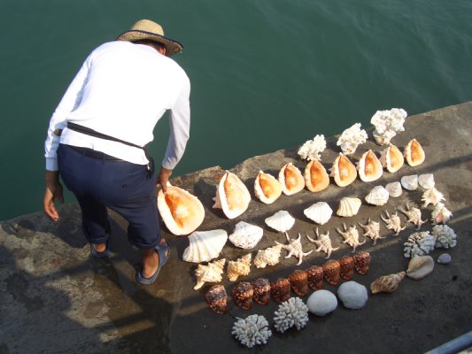 栈桥卖海螺壳.jpg