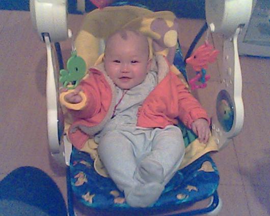 因为上面挂了树叶 看起来有点像三毛