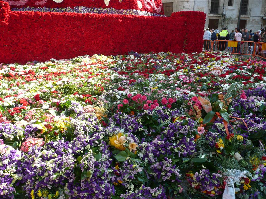 P1000722 (Large).JPG