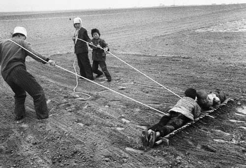 为了帮助平整土地，孩子的身体都撂到排子上