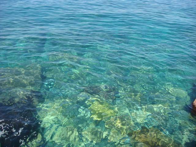 Resize of DSC03386.JPG