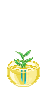 1129141c84b.gif
