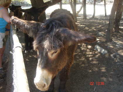 看什么看.....我正郁闷着呢~~~~~~~~~~~~ 看什么看.....我正郁闷着呢~~~~~~~~~~~~