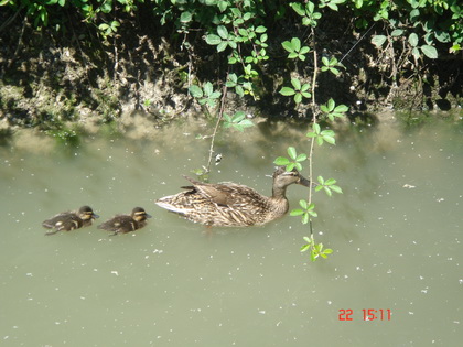 跟着妈妈游啊游~~~~~带你去泡妞~~~ 跟着妈妈游啊游~~~~~带你去泡妞~~~