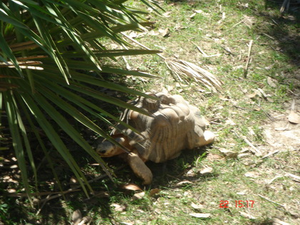 我来啦....可爱不...不要拍啦...我怕走光~~ 我来啦....可爱不...不要拍啦...我怕走光~~