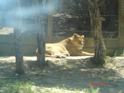我太累了.....睡一会先.....等一下再吃你们~~ 我太累了.....睡一会先.....等一下再吃你们~~