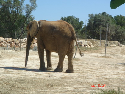 没有看到我不想给你面子啊~~~~给我走点远~~ 没有看到我不想给你面子啊~~~~给我走点远~~